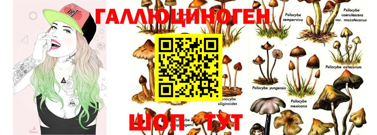 Крымск  Галлюциногенные грибы Cubensis  Вход с VPN  Галлюциногенные грибы Magic Shrooms 