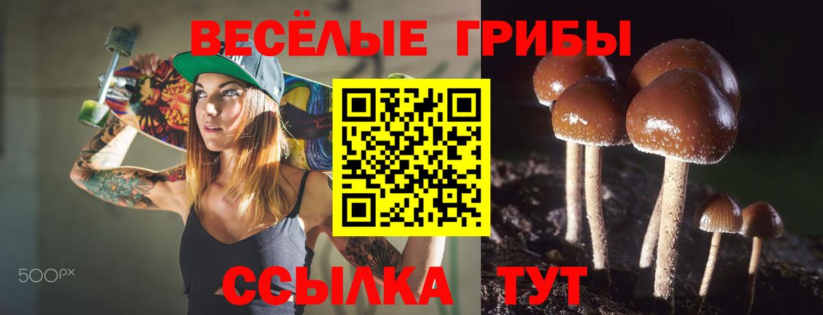Псилоцибиновые грибы Magic Shrooms Крымск